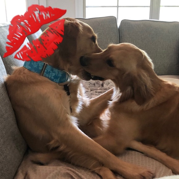 Smoke free/Pet friendly💛 - Picture 13 of 16